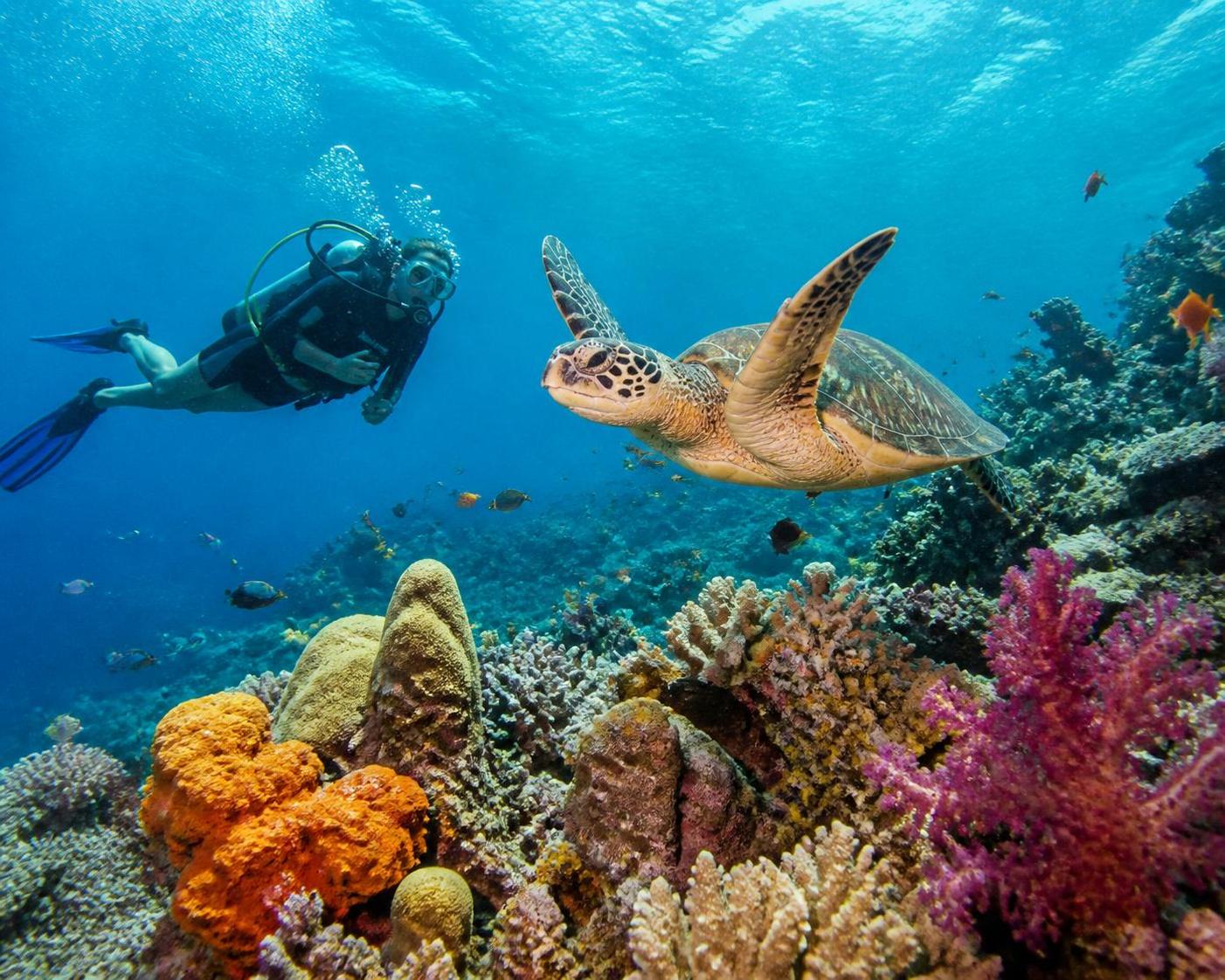 découvrez les activités incontournables à amed, un village authentique au cœur de bali, entre plages paradisiaques, plongée, randonnées et culture locale.