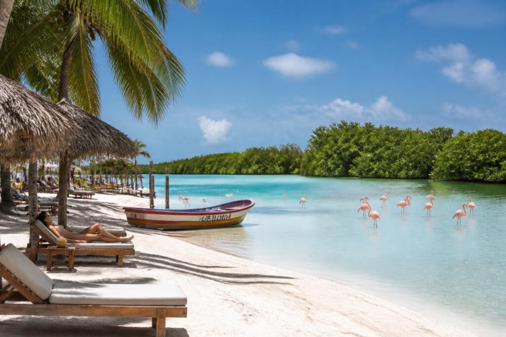 découvrez les incontournables de holbox pour un séjour alliant nature splendide et détente absolue. activités, plages, et conseils pour profiter pleinement de cette île paradisiaque.